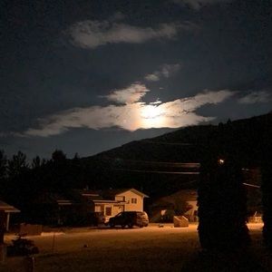 Meet your Posher, Sophia